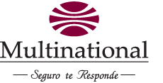 Multinational Seguro